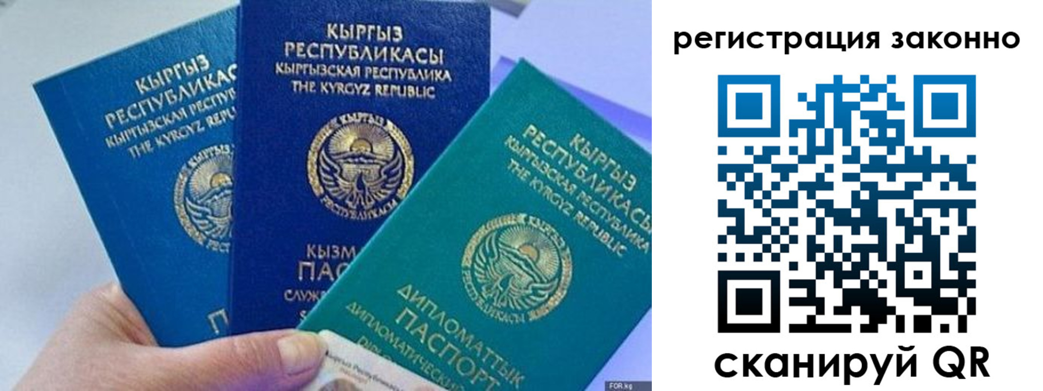 временная регистрация гарантия в Ельне